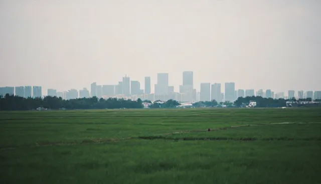 东康商贸